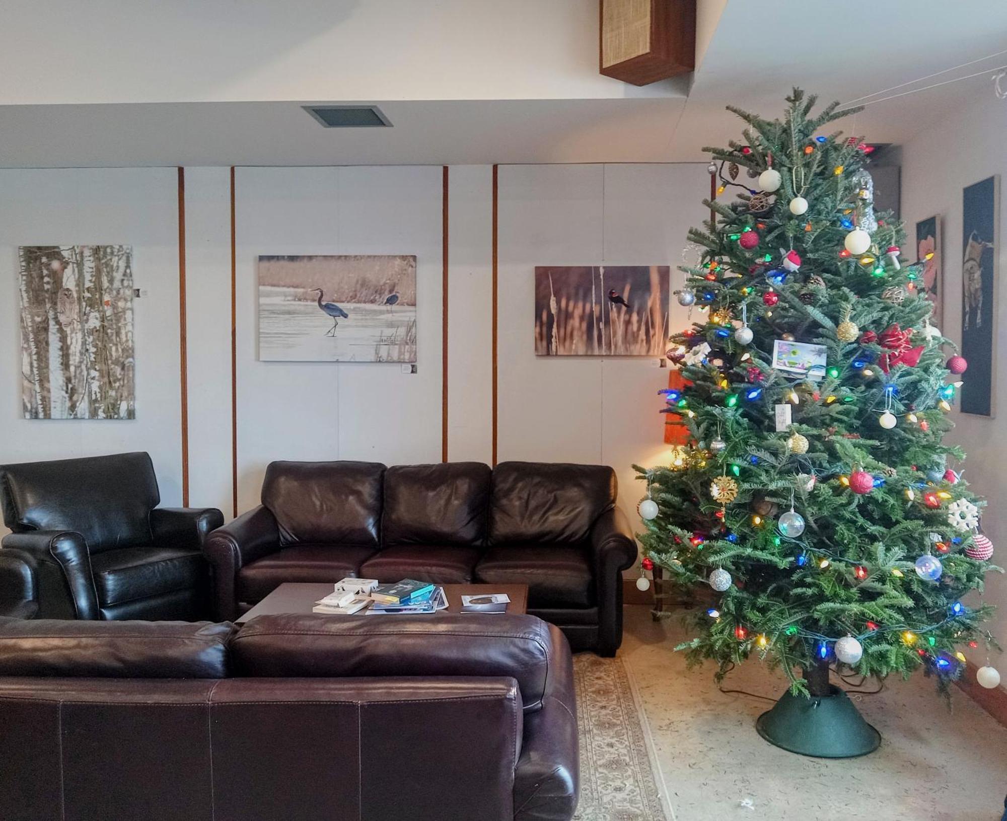 Hotel Wolfe Island Marysville Ngoại thất bức ảnh